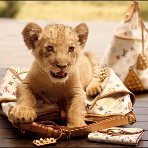 ❤️🔥Louis Vuitton🔥❤️ - Picture 1 of 1